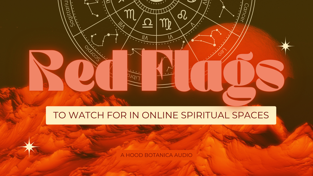 Audio: Red Flags to Watch for in Onliine Spiritual Spaces
