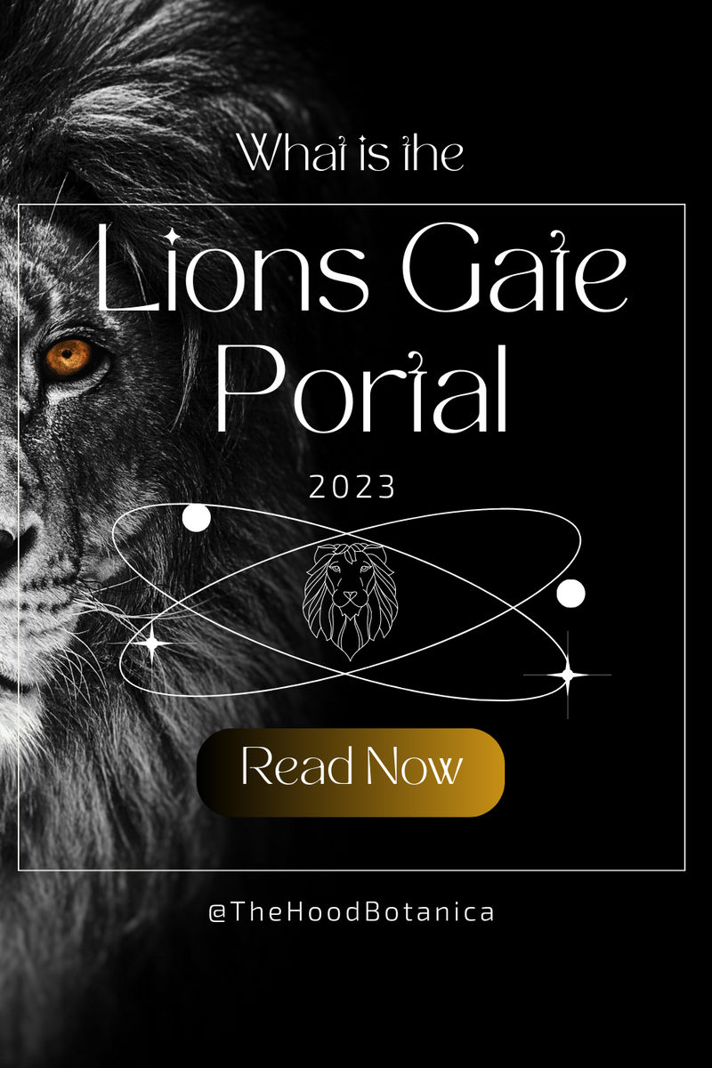 Cosmic Alignment What is The Lions Gate Portal? The Hood Botanica