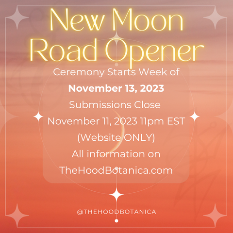 GROUP CEREMONY READ CAREFULLY: New Moon in Libra (Submissions Close 11/11 11pm EST!!!)