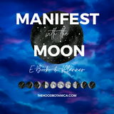 Manifest with the Moon Ebook and Planner