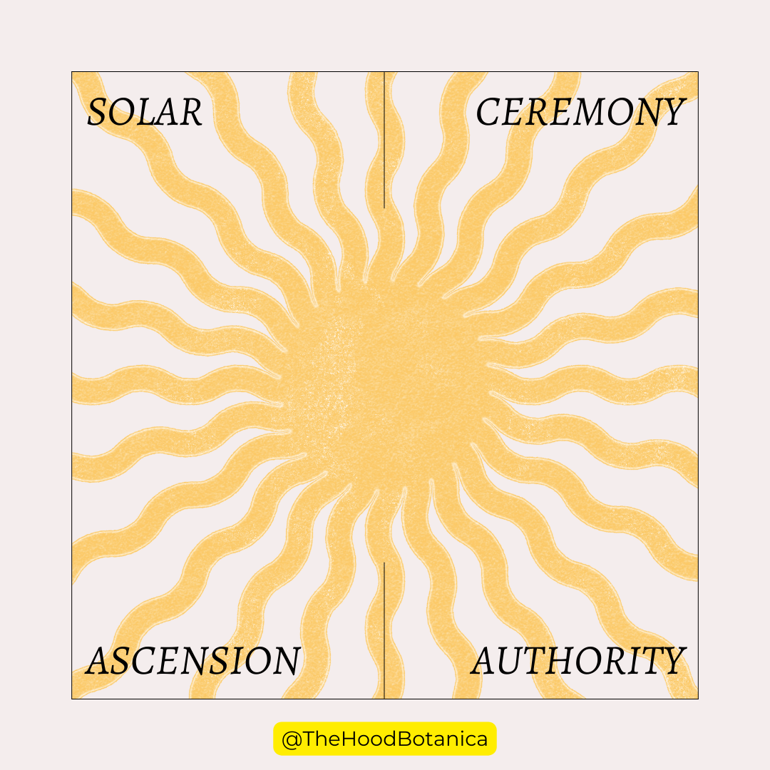 NOW OPEN: Solar Ascension & Authority:Solar Magick Group Ceremony w/ Reiki & Sekhem upgrade